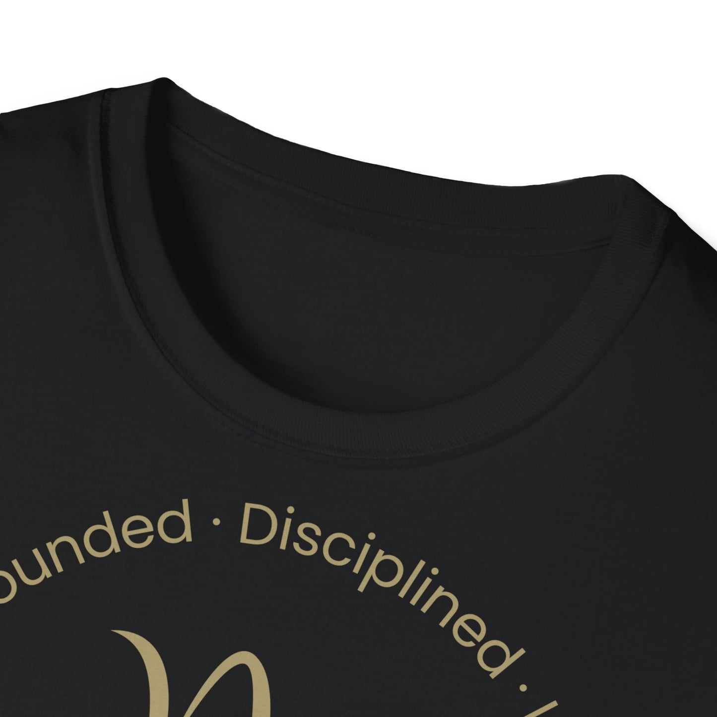 Zodiac Core Traits (Capricorn)T-Shirt