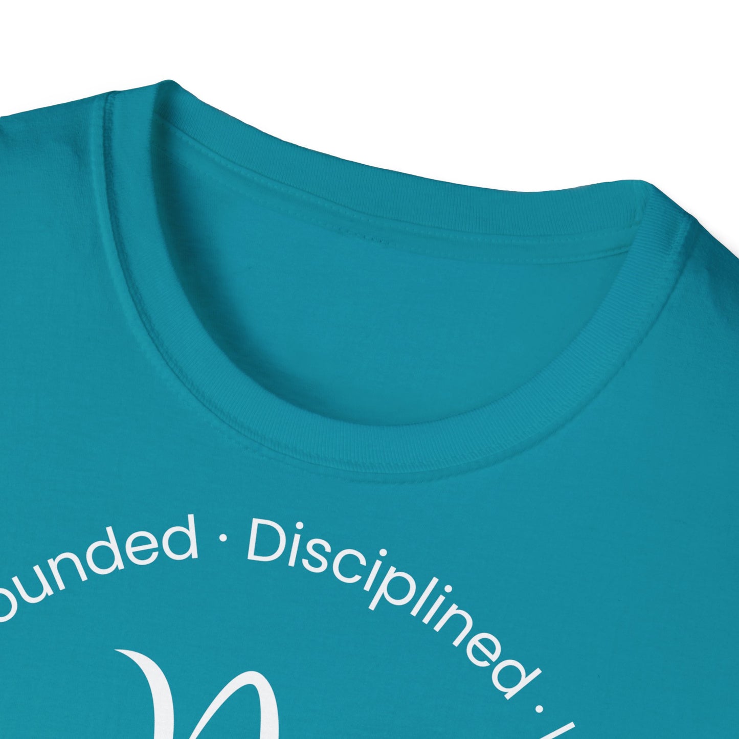 Zodiac Core Traits (Capricorn)T-Shirt