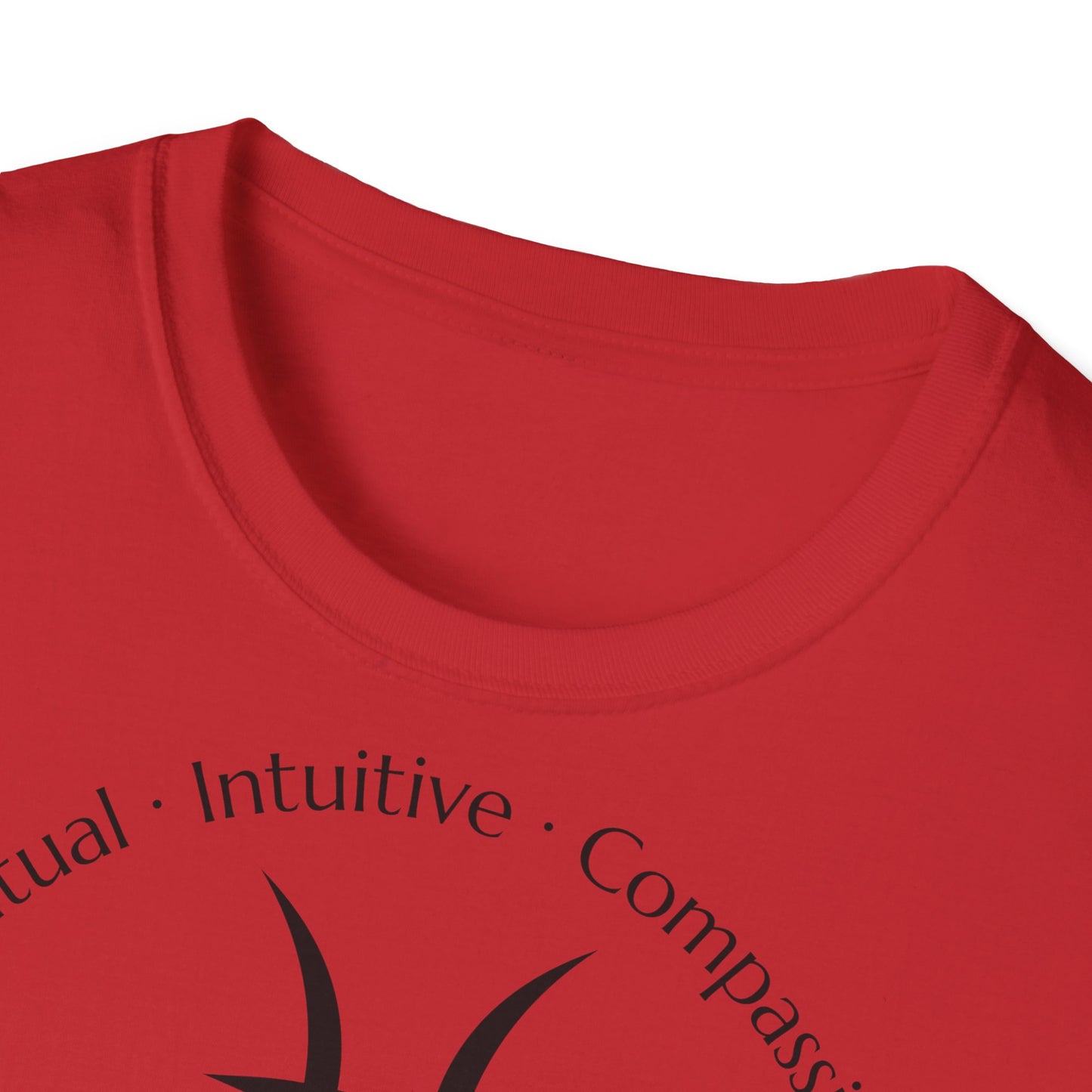 Zodiac Core Traits(Pisces)T-Shirt