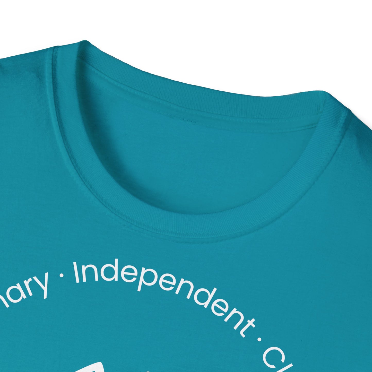 Zodiac Core Traits(Aquarius)T-Shirt