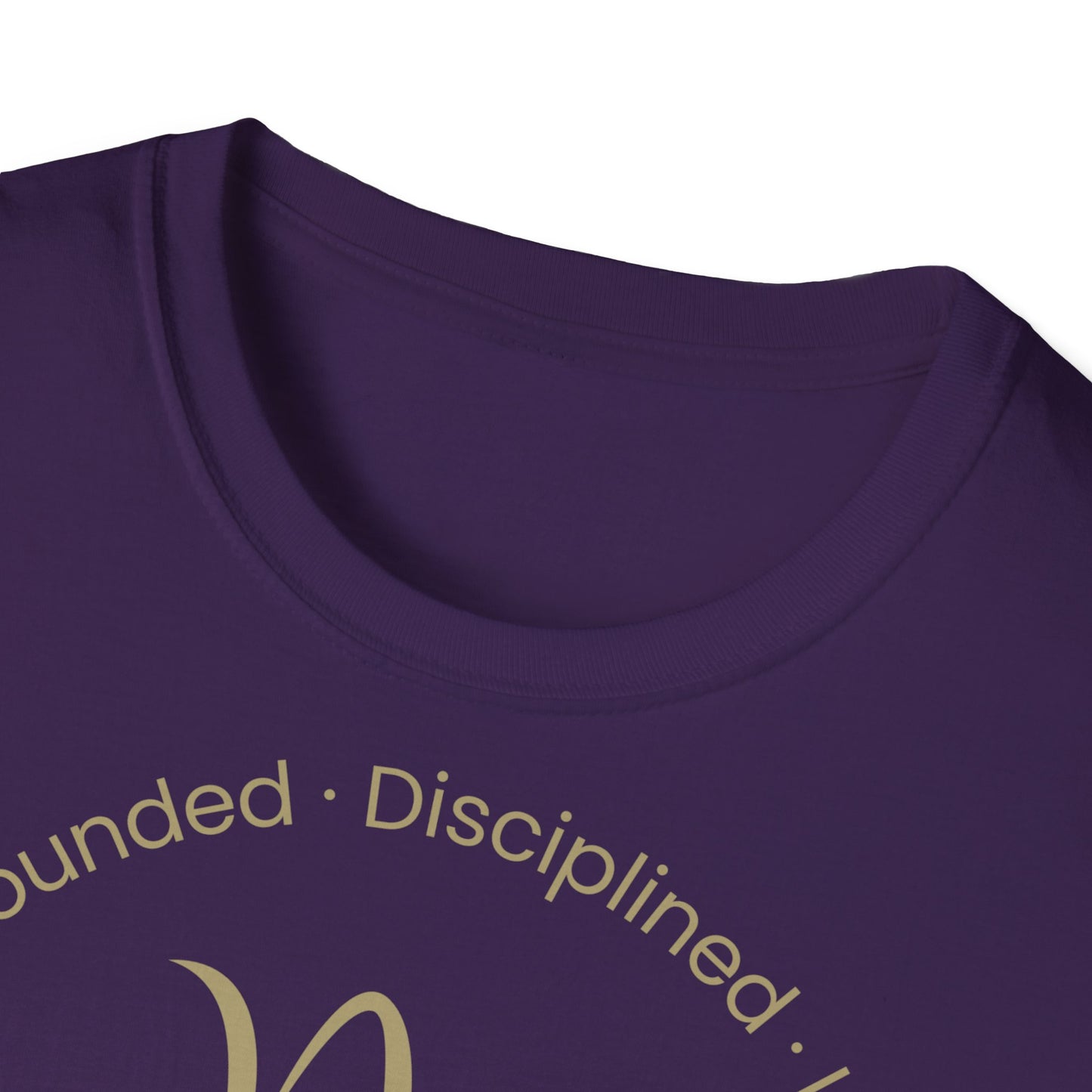 Zodiac Core Traits (Capricorn)T-Shirt