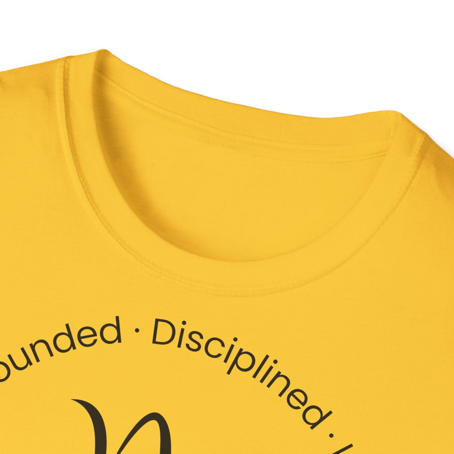 Zodiac Core Traits (Capricorn)T-Shirt