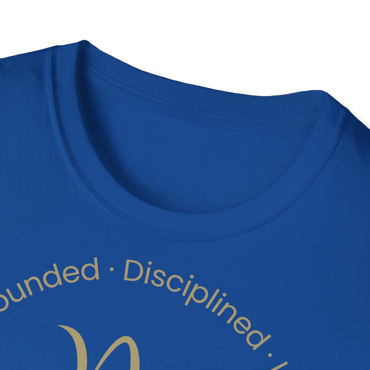 Zodiac Core Traits (Capricorn)T-Shirt