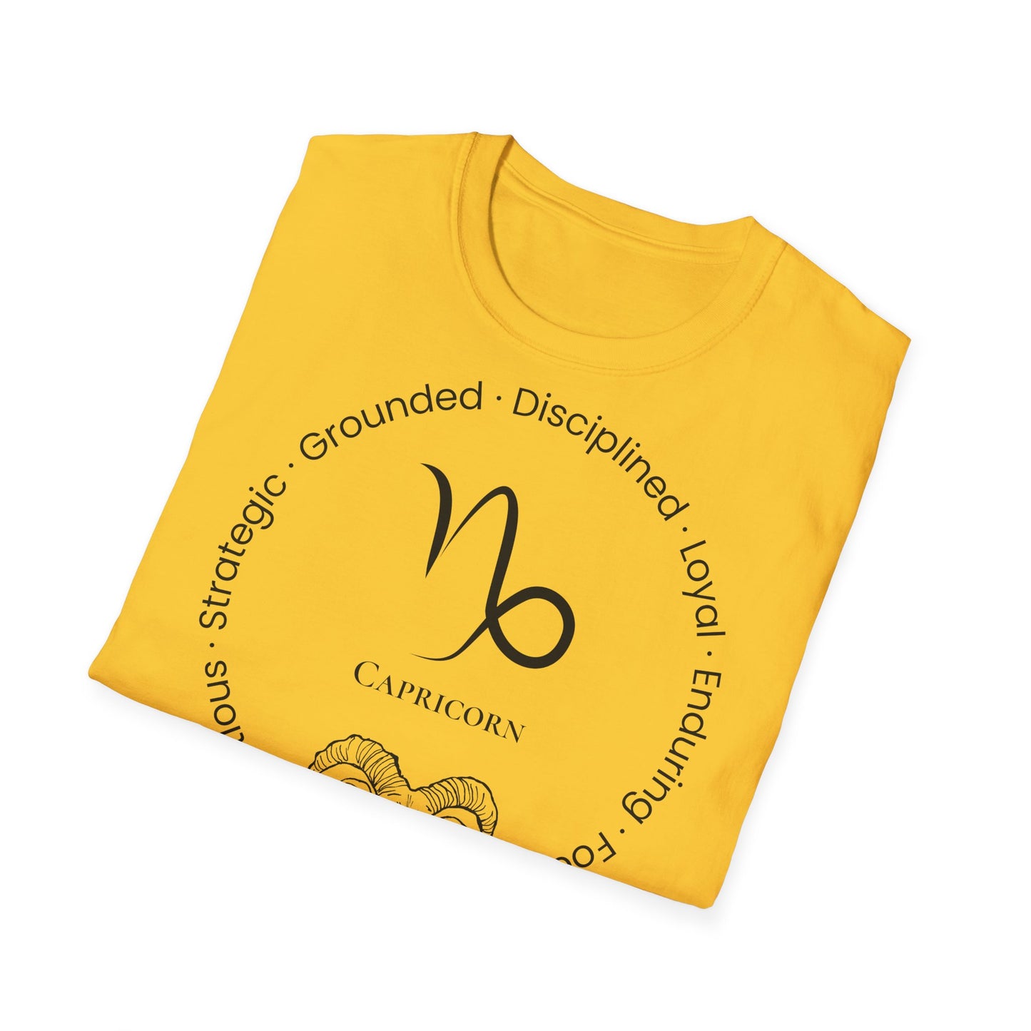 Zodiac Core Traits (Capricorn)T-Shirt