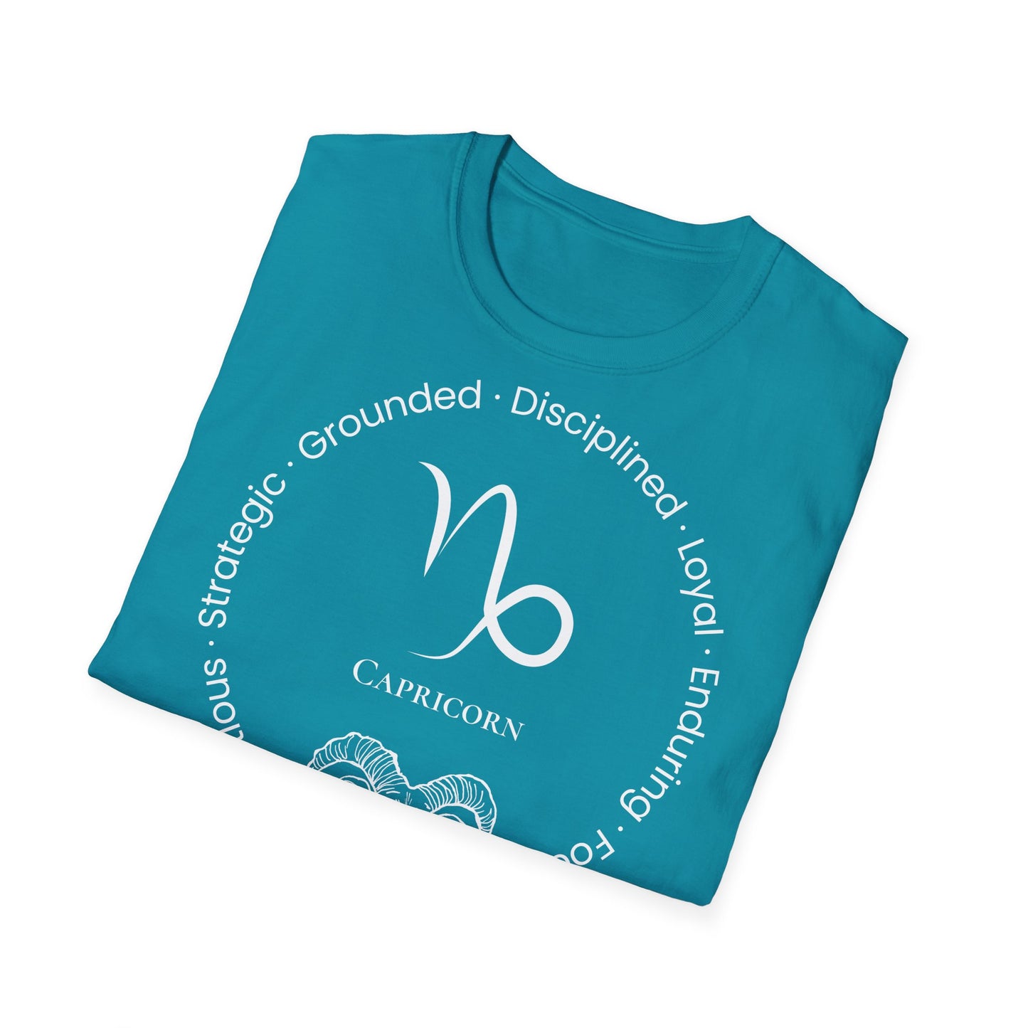 Zodiac Core Traits (Capricorn)T-Shirt