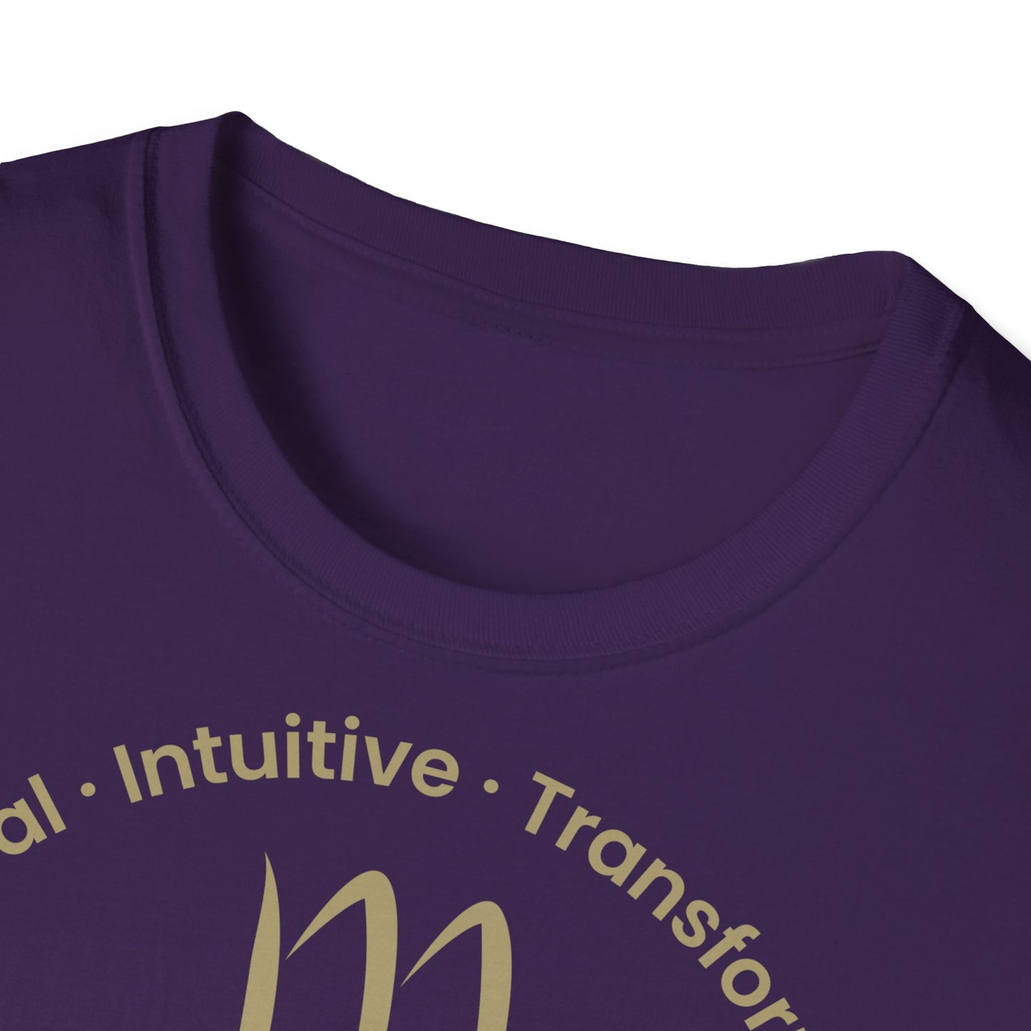 Zodiac Core Traits (Scorpio)T-Shirt