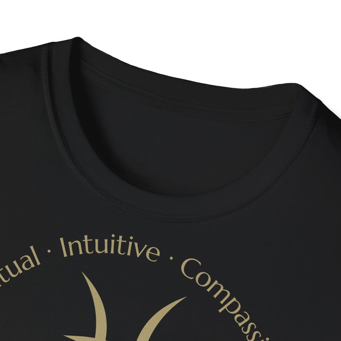 Zodiac Core Traits(Pisces)T-Shirt