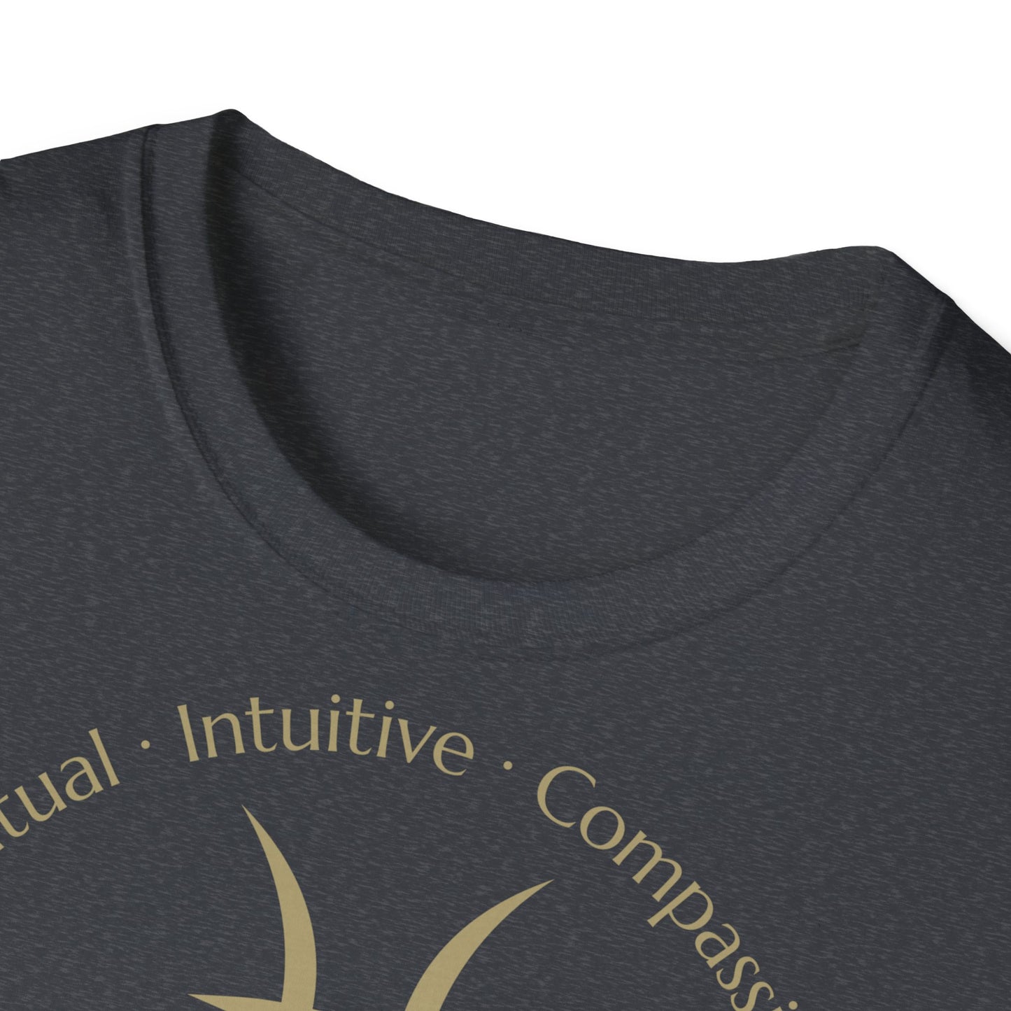Zodiac Core Traits(Pisces)T-Shirt