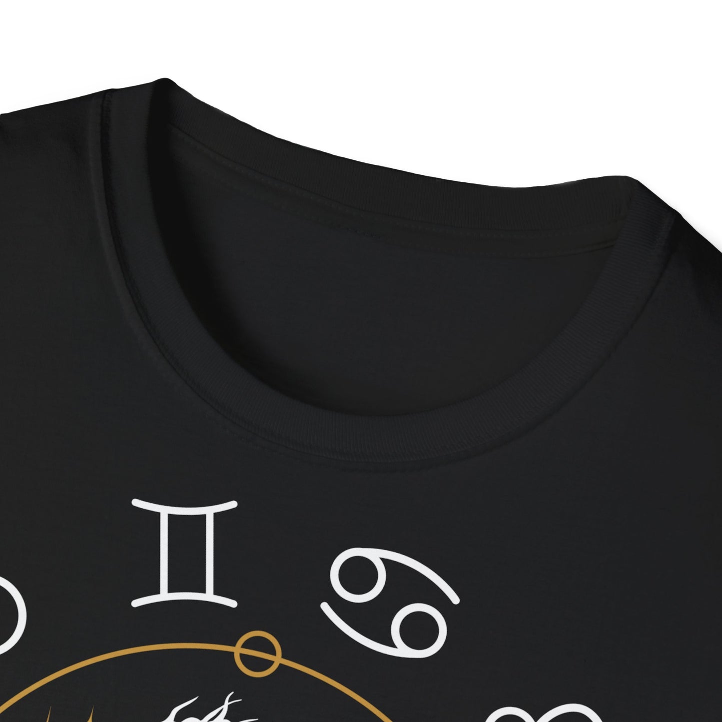 Pisces Phase T-Shirt