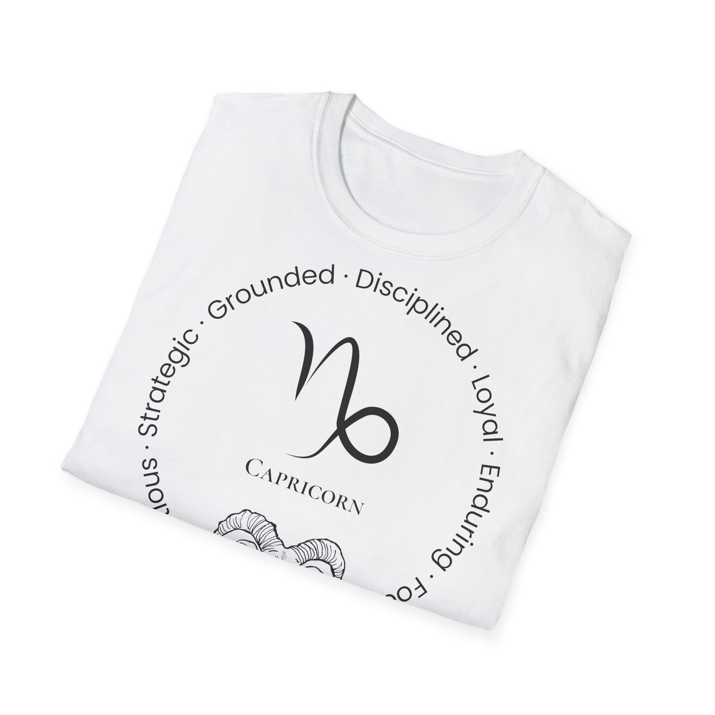 Zodiac Core Traits (Capricorn)T-Shirt