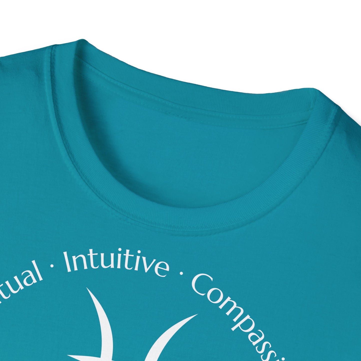 Zodiac Core Traits(Pisces)T-Shirt